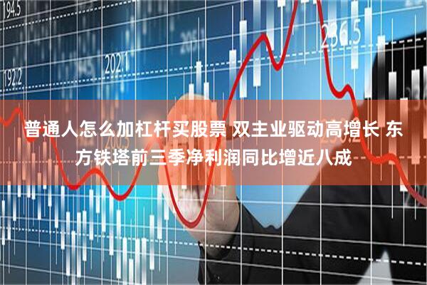 普通人怎么加杠杆买股票 双主业驱动高增长 东方铁塔前三季净利润同比增近八成